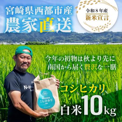 ふるさと納税 西都市 【令和8年産新米・先行受付】こしひかり 10kg　※8月上旬以降順次発送予定　精米済み [3219]