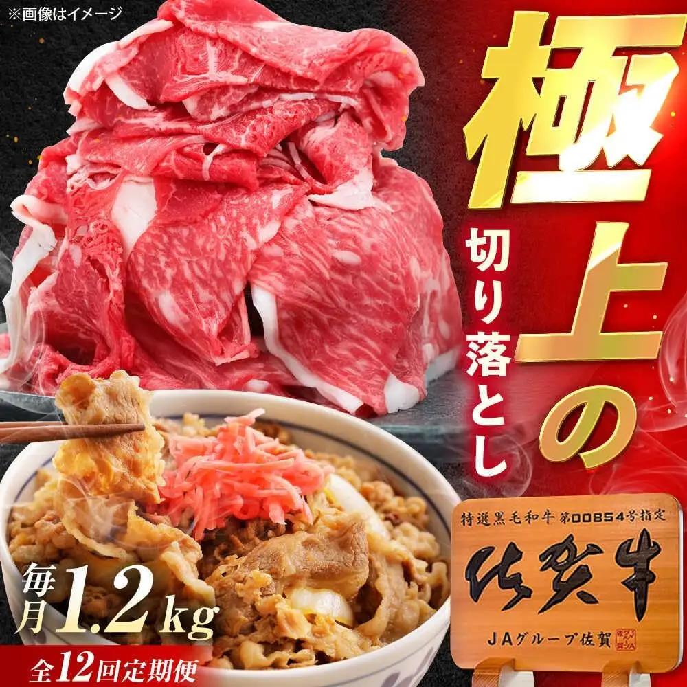 【12回定期便】 佐賀牛 牛肉 切り落とし 1.2kg 切落し [UEM037]