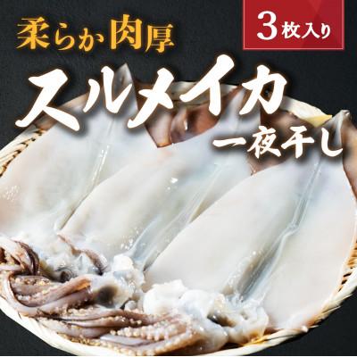 ふるさと納税 宮津市 日本海産　柔らか肉厚のスルメイカ一夜干し(大)3枚　【冷蔵】