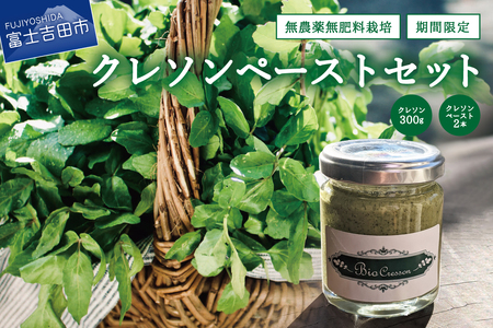 富士吉田市 クレソン ペースト セット 野菜 サラダ 食品添加物不使用