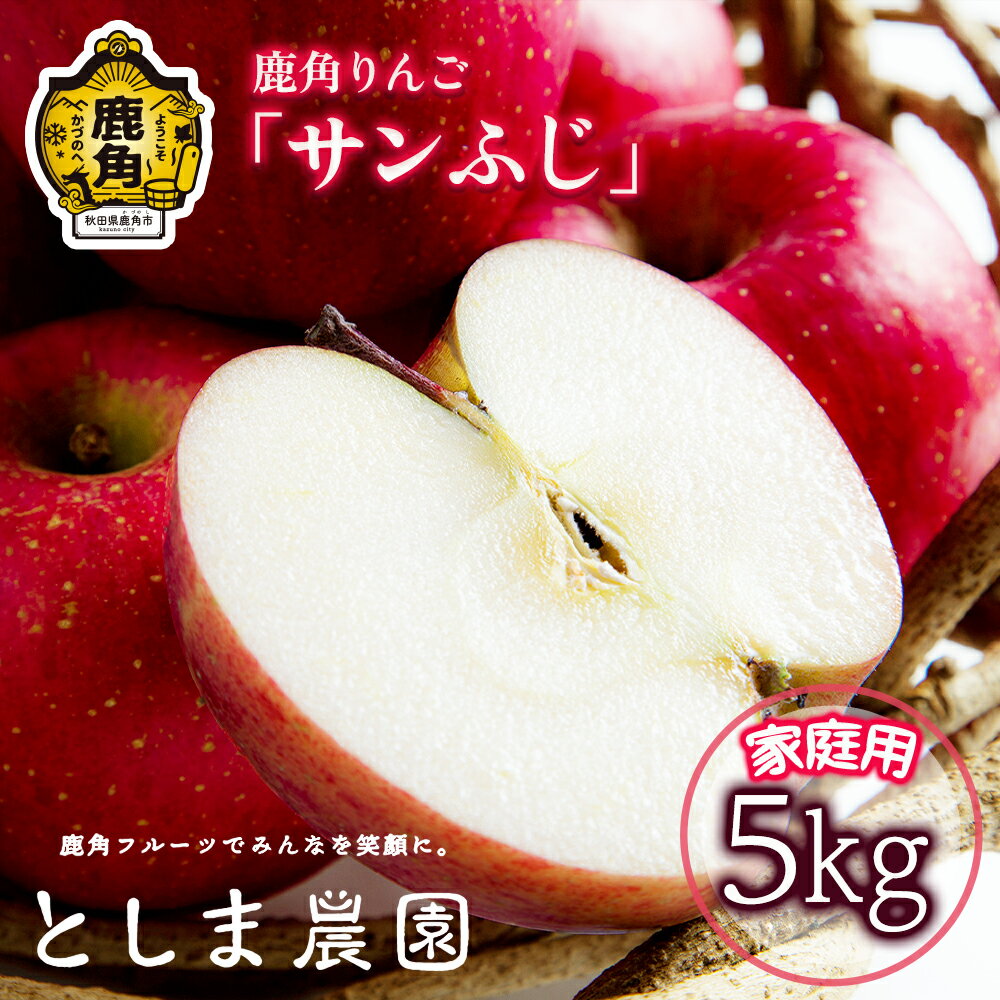 【ふるさと納税】《 先行予約 》 訳あり 鹿角 りんご サンふじ 家庭用 約 5kg ( 12～23玉 ) リンゴ 完熟 旬 県産りんご 林檎 お中元 お歳暮 贈り物 お見舞い グルメ ギフト 故郷 秋田 あきた 鹿角市 鹿角 送料無料 【としま農園】