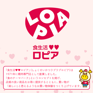 【隔月6回定期】ロピア 冷凍ピザ マルゲリータ (総計60枚・10枚×6回) LOPIA ピザ ＜離島配送不可＞ 【ksg1819】【ロピア】