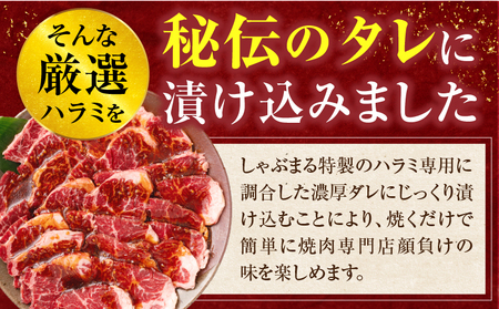 やわらか牛ハラミ焼肉　秘伝のタレ漬け3kg(250g×12P) | 牛肉 焼肉 タレ 漬け 秘伝 柔らかい 味付き やきにく ハラミ 希少 小分け 厚切り 冷凍 BBQ バーベキュー 香川県 三木町 