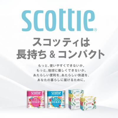 ふるさと納税 八代市 【毎月定期便】 ティッシュ 250組 15箱 日用品 スコッティ 全3回_186-6653 |  | 01