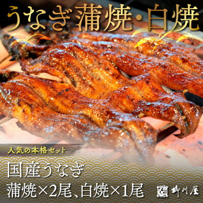 【ふるさと納税】国産うなぎ蒲焼×2尾、白焼×1尾　送料無料 うなぎ 鰻 国産　AF004
