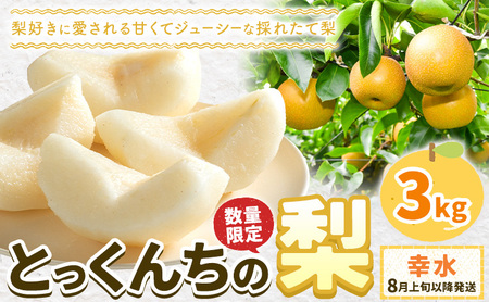 【2026年先行予約】とっくんちの梨 幸水 約3kg 鈴木農園《8月上旬-8月下旬頃出荷》茨城県 結城市 数量限定 果物 フルーツ 甘み ジューシー 豊か 芳香 しゃりっ 爽やかな 季節【配送不可地域あり】(離島)