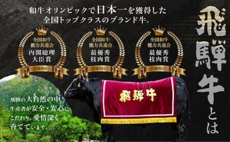【10月開始】定期便 飛騨牛づくし 全5回 ( すき焼き / ステーキ / 焼肉 / しゃぶしゃぶ ) 計2.1kg | 肉 5ヶ月 牛肉 豚肉 お楽しみ 食べ比べ サーロイン サイコロ 赤身 A5等