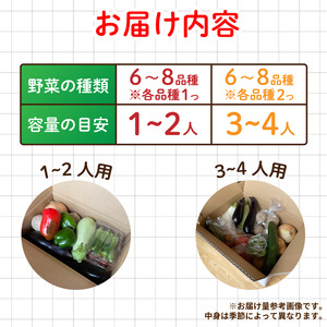野菜 夏野菜 セット 6～8品目 1人～2人用 野菜 夏野菜 野菜 夏野菜