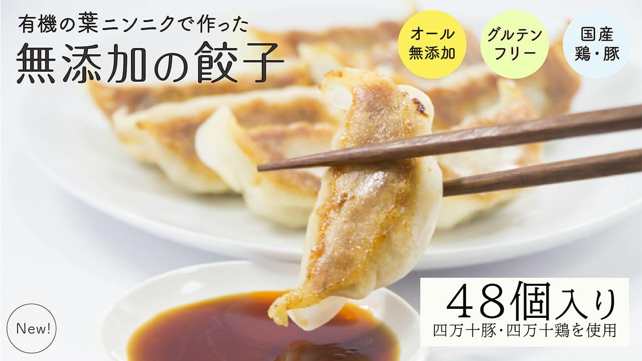 葉 にんにく と 四万十豚 で作った 最高級餃子 （ 6個入り × 8 パック ） 餃子 ギョーザ 焼き餃子 やきぎょうざ ぎょーざ こだわり 大容量 冷凍 冷凍餃子 簡単 調理 簡単調理 惣菜 冷凍食品 おかず 弁当 中華 中華料理 料理 プレゼント ギフト 贈り物 高知県 須崎市 EA0261_2x