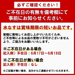 泉州名物 水なす浅漬け 8個と生なす2個【014D-011】