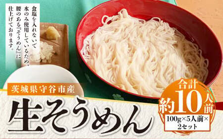 生そうめん 100g×5人前×2セット 