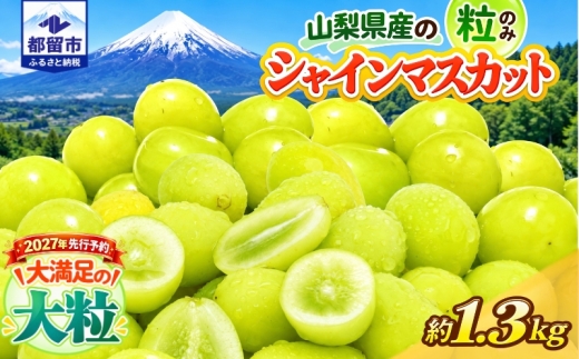 【2027年先行予約】山梨県産 シャインマスカット（粒）約1.3kg