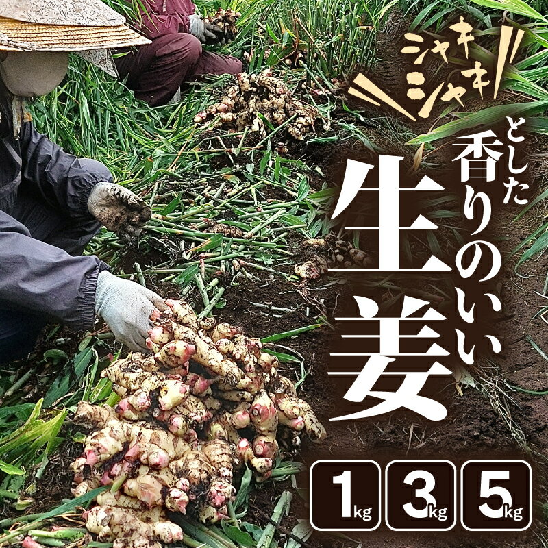 【ふるさと納税】＜選べる容量＞ シャキシャキとした香りのいい生姜 1kg ～ 5kg 生姜 しょうが ショウガ もみじ生姜 ジンジャー 薬味 香り 野菜 やさい 根菜 新鮮 みずみずしい 冷凍保存可能 もみじファーム 鹿児島 鹿屋市 おすすめ ランキング プレゼント ギフト