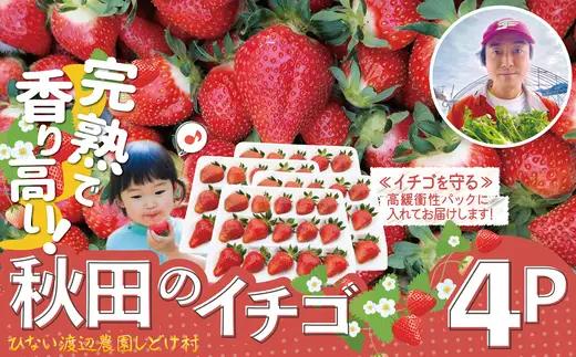 完熟で香り高い！秋田のイチゴ 4パック ＜揺りかごパック＞　 180P3401【ひない渡辺農園しどけ村】
