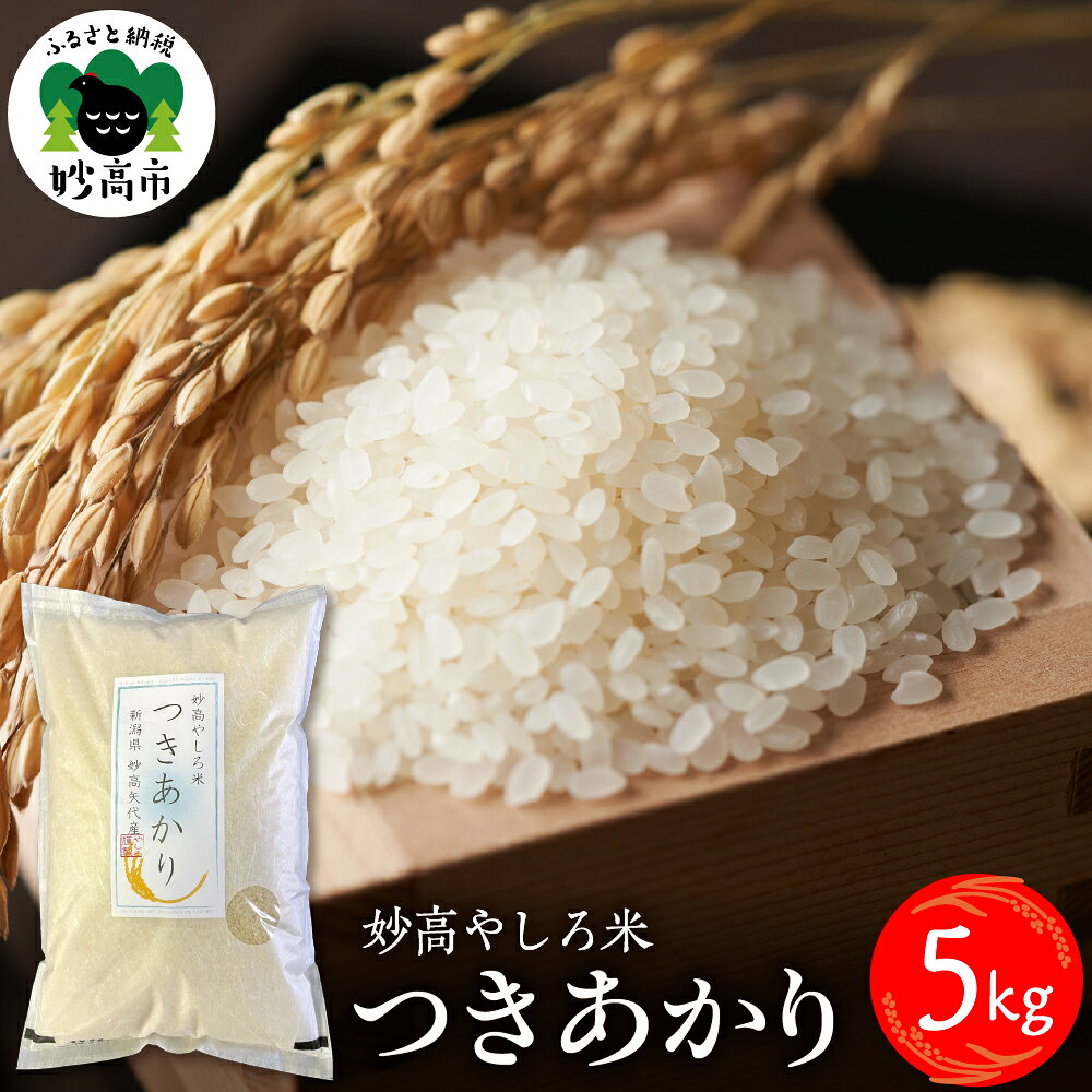 【ふるさと納税】令和7年産 米 つきあかり 5kg 新潟県 妙高やしろ米 / お米 米 コメ 精米 白米 米どころ こめ ご飯 ごはん ライス 弁当 おにぎり 新潟 妙高市【10月中旬より発送】