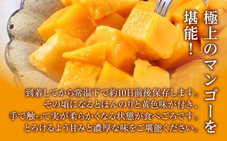 【先行受付】【2024年発送】キーツマンゴー 南城市 約1kg (1～2玉)