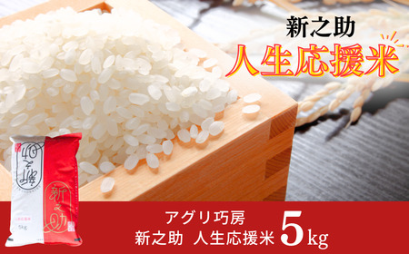 新之助人生応援米 5kg 令和7年産 新之助 白米 アグリ巧房 【012S079】