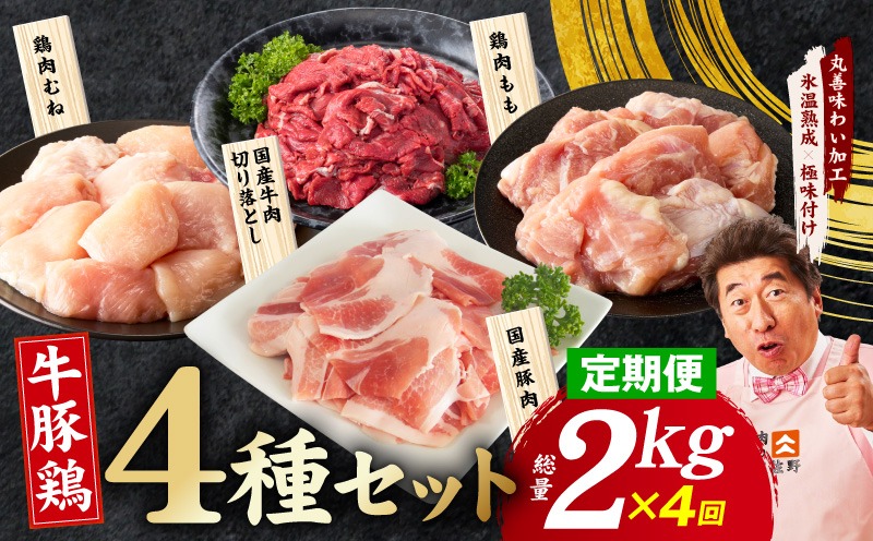 mrzZ087 【定期便】国産 牛豚鶏 4種セット 2kg×4回【氷温熟成×極味付け 牛肉 豚肉 鶏肉 もも むね 食べ比べ 普段使い 味付き 小分け 訳あり サイズ不揃い 毎月配送コース】