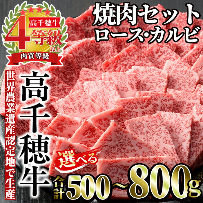 【ふるさと納税】＜内容量が選べる！＞高千穂牛 焼き肉セット(合計500～800g) 国産 宮崎県産 宮崎牛 牛肉 焼肉 ロース カルビ 霜降り A4 和牛 ブランド牛【MT010・MT014】【JAみやざき 高千穂牛ミートセンター】