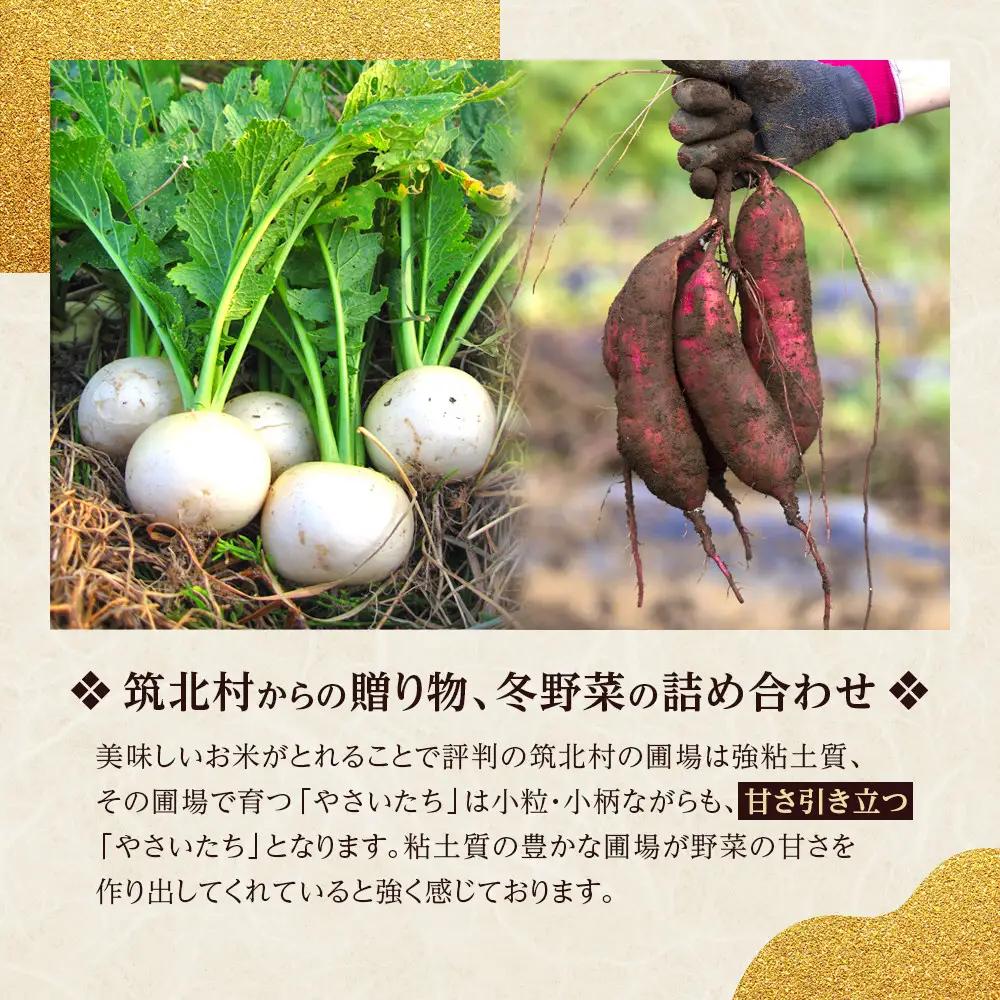 先行予約【2026年11月上旬頃～順次発送予定】ちっくほっくふぁ～む　冬野菜セット| 筑北村 農産物詰合せ 冬収穫野菜 寒締め野菜 甘み増す食材 食卓活用 煮込み料理 鍋料理向け 日常調理 家庭用 人