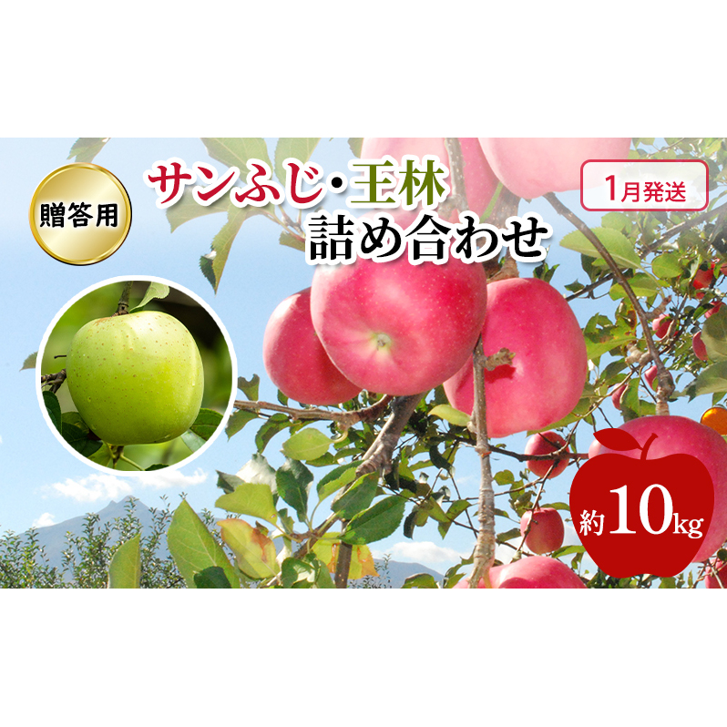 りんご 【 1月発送 】 糖度13度～贈答用 サンふじ ・ 王林 詰め合わせ 約 10kg