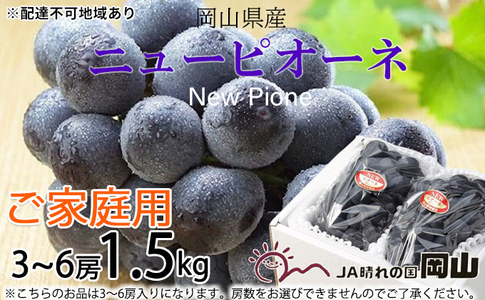 ぶどう 2026年 先行予約 ご家庭用 ニュー ピオーネ 3～6房 約1.5kg ブドウ 葡萄  岡山県産 国産 フルーツ 果物 巨峰 美しい 外観 大粒 高糖度 種なし 皮ごと 芳醇 酸味 美味しい 絶妙 バランス 大人気 