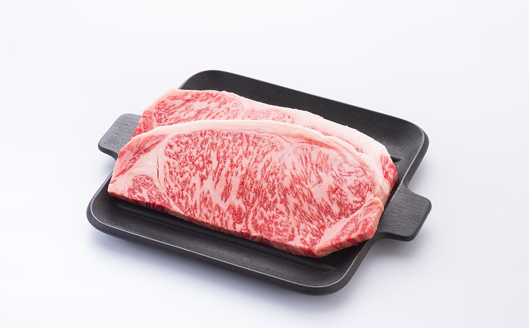 ARABAKI ROCK FEST.26　2日通し入場券（1名様分）＋風の草原キャンプサイト券（1枚）＋仙台牛ロースステーキ　500g　【04324-0332】