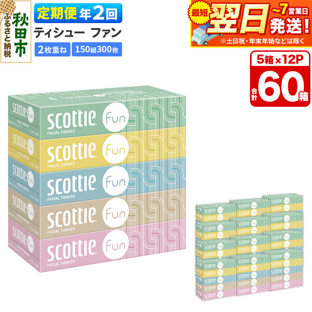 【ふるさと納税】《6ヶ月ごとに2回お届け》定期便 ティッシュペーパー スコッティ ティシュー ファン 150組 5箱×12パック 最短翌日発送 [ティッシュ スコッティ(SCOTTIE) スコッティティシュー]