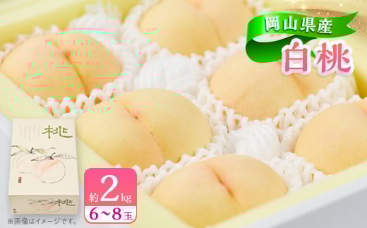 岡山県産白桃　約2kg(6～8玉)【1415014】