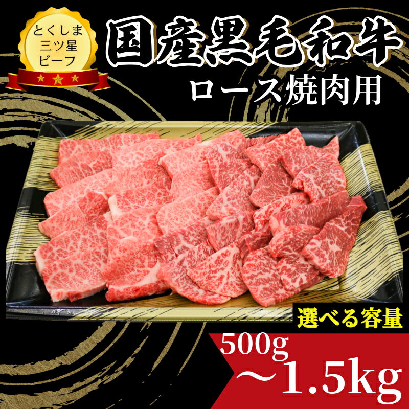 【ふるさと納税】 ロース 焼肉用 500g ~ 1.5kg 国産 黒毛和牛 とくしま三ツ星ビーフ 徳島県産 ブランド 和牛 牛肉 ふるさと納税 阿波牛 牛肉 ぎゅうにく 牛 肉 牛肉 国産 黒毛和牛 焼肉 焼き BBQ キャンプ飯 アウトドア おすすめ 【北海道・東北・沖縄・離島への配送不可】