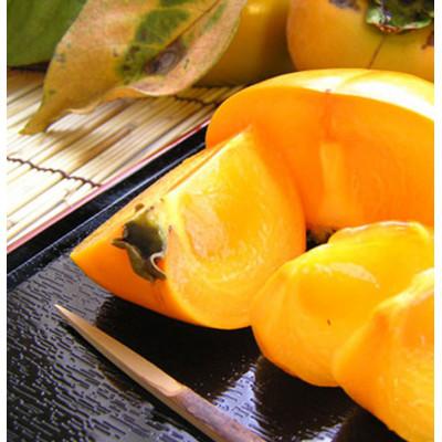 ふるさと納税 すさみ町 たねなし柿M〜2Lサイズ40〜32個詰7.5kg入箱