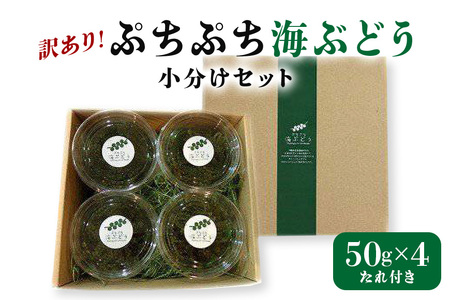 ぷちぷち 海ぶどう 小分け セット 訳あり 訳アリ 海ブドウ ウミブドウ 沖縄 大人気 特産物 お土産 健康 栄養 美容 美肌 ダイエット ミネラル マグネシウム カルシウム 鉄分 タレ付き おつまみ うみぶどう 海藻 グリーンキャビア 沖縄県 糸満市