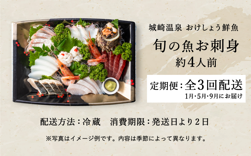 新鮮なお魚を捌いた日に冷蔵で発送！お刺身セット 約4人前 3回定期便（1月、5月、9月） / 刺身 盛り合わせ 新鮮 冷蔵 お刺身 セット 寿司ネタ お寿司 お魚 刺身盛り合わせ【城崎温泉 おけしょう