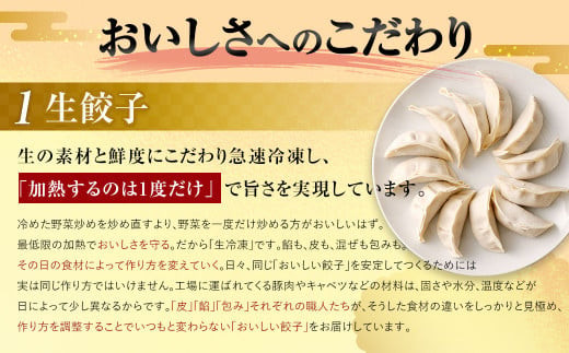 【国産冷凍生餃子】大きめ餃子300個 計6kg 餃子 ギョーザ