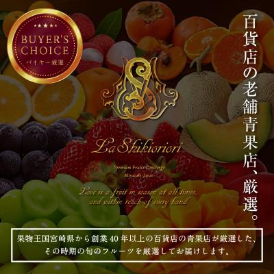 ふるさと納税 宮崎市 【発送月固定定期便】宮崎の旬なくだものをお届け!至極くだもの定期便全6回 |  | 02