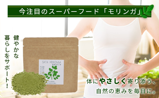【モリンガパウダー】75g(25g×3袋)「本土最南端からのおくりもの」IK-704