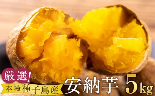 厳選！本場種子島産安納芋5kg【安納芋 安納いも 焼き芋 焼芋 やきいも さつまいも スイーツ デザート おやつ 熟成 蜜 しっとり 甘い  鹿児島県 種子島 中種子町 永濱農園 N134】