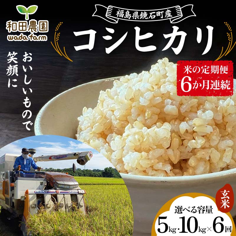 【ふるさと納税】《選べる容量》〈先行予約 2025年産米〉【米の定期便】福島県鏡石町産 和田農園「コシヒカリ」玄米《5kg 10kg》 6か月連続 F6Q-304var