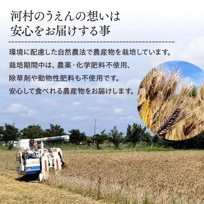 AB1-009 千葉県長生村産　自然栽培　ダイシモチ麦（六条大麦）300g×4袋