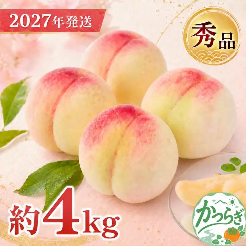 桃 和歌山県産 桃 10玉～16玉 約4kg 秀品 【2027年7月上旬～2027年8月下旬頃発送予定】【US37】【AS004-uts064A】