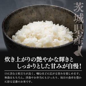 【数量限定】令和7年茨城県産コシヒカリ5kg【お米 ごはん こしひかり おにぎり ごはん 茨城県 水戸市】(NU-1)
