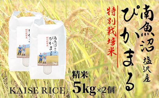 【令和8年産 新米】南魚沼産塩沢【ぴかまる】（特別栽培米８割減農薬）精米５ｋｇ×２個
