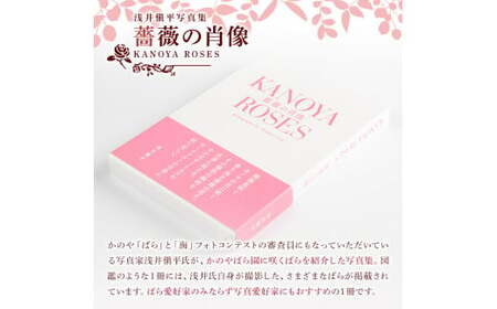 浅井愼平写真集　薔薇の肖像　KANOYA ROSES 1031