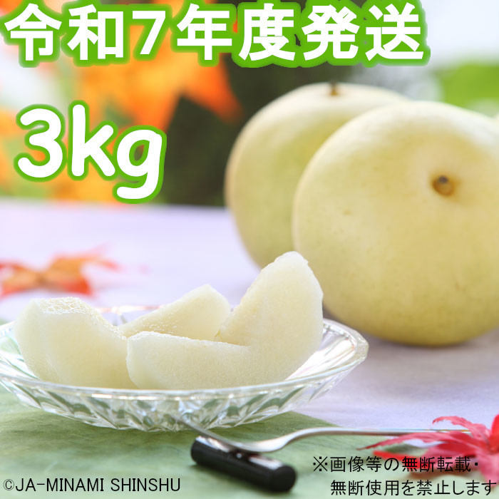 
            7-J33 【南信州産】20世紀梨 太鼓判 約3kg　8玉～10玉
          