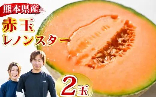 赤玉レノンスター  2玉 【2026年11月上旬から12月上旬発送予定】  メロン フルーツ くだもの 果物 熊本県産 国産