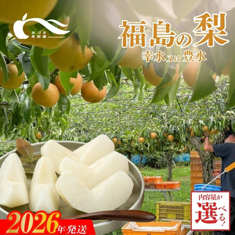 【ふるさと納税】あづま果樹園 梨 品種 おまかせ 幸水 又は 豊水 選べる 容量 【2026年発送】福島市 福島 和梨 約2kg 約3kg 約5kg 約10kg 1万円 赤梨 旬 玉数 お任せ