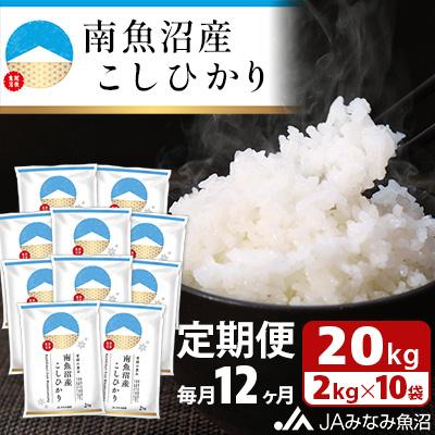 ふるさと納税 南魚沼市 【毎月定期便】南魚沼産こしひかり 精米 20kg(2kg×10袋)全12回