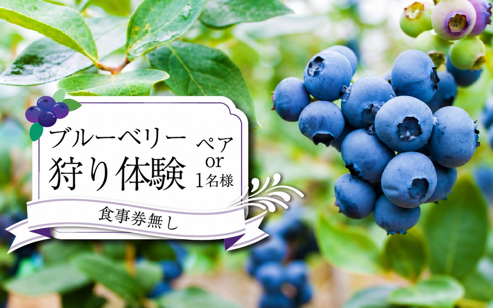 
                  ブルーベリー 狩り 体験 チケット 選べる お一人様 ペア2名様 思い出 家族 夏休み 農園 観光 かずら橋 祖谷 秘境 古民家 カフェ 食事 お土産 フルーツ狩り 果物 徳島 三好 みよし
                