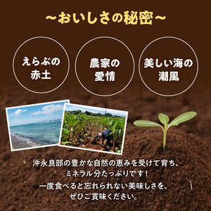 【 2026年先行予約 】新じゃがいも ニシユタカ 10kg 3月お届け C056-005-02 じゃがいも 新じゃが いも 芋 ポテト 野菜 ミネラル豊富 料理 調理 先行予約 先行受付 先行 予約