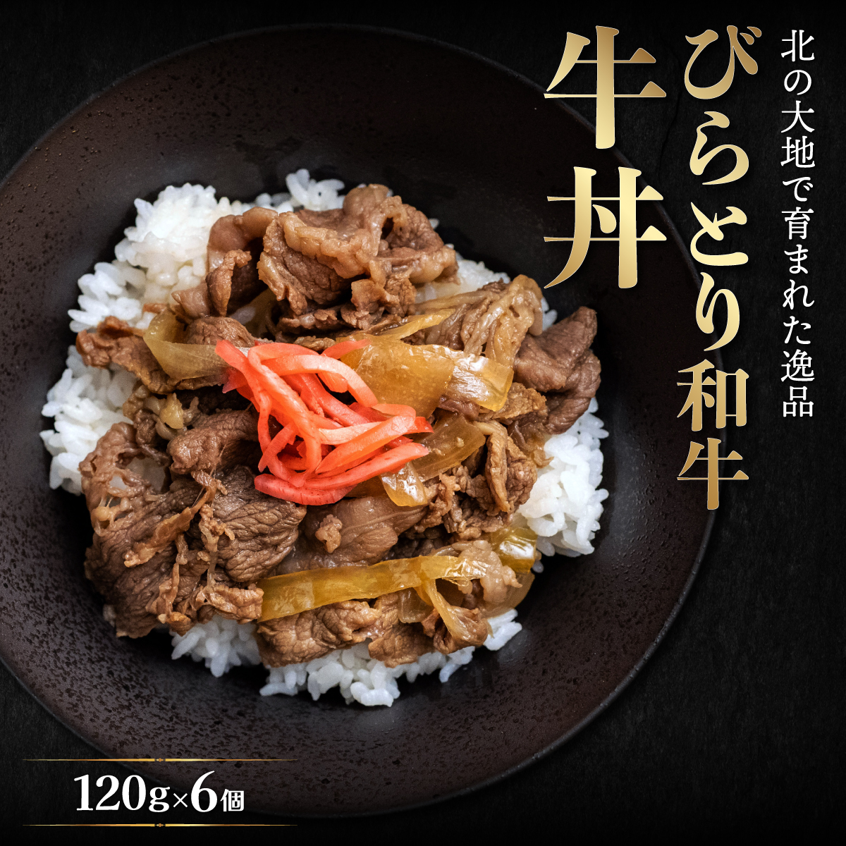 びらとり和牛牛丼120ｇ6個 BRTB033